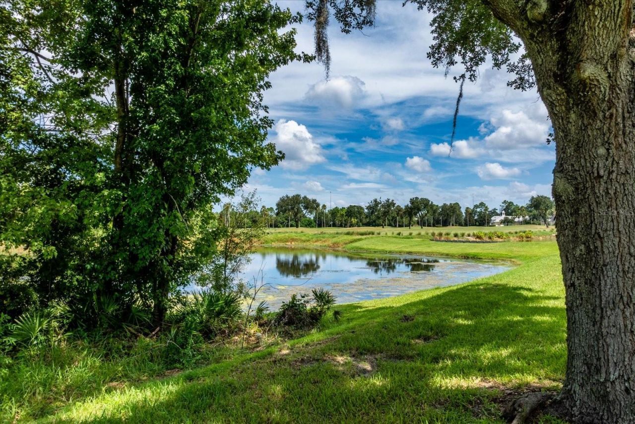 915 Jasmine Street, Celebration, FL 34747 Photo