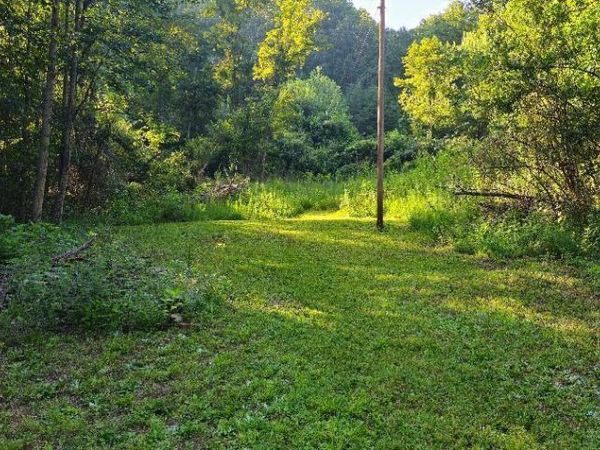 6504 Highway 66 , Rogersville, TN 37857