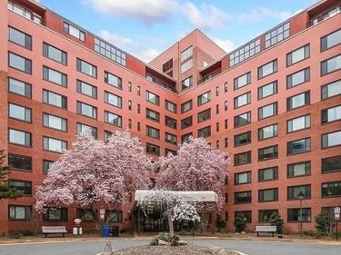 1021 ARLINGTON BOULEVARD, Unit 905, ARLINGTON, VA 22209