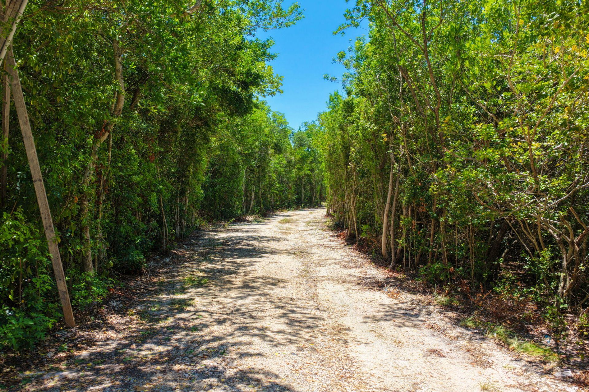 86600 Overseas Highway, Islamorada, FL 33036 Photo