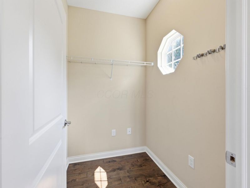 5097 Vitri Lane, Columbus, OH 43221 Photo 14