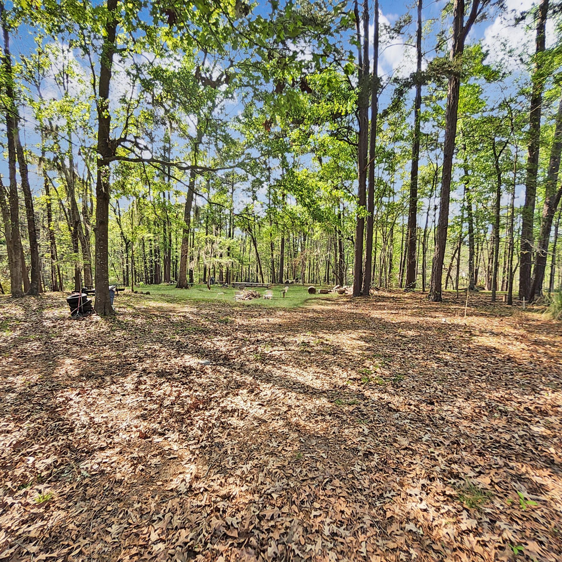 384 Suwanee Drive Photo 31