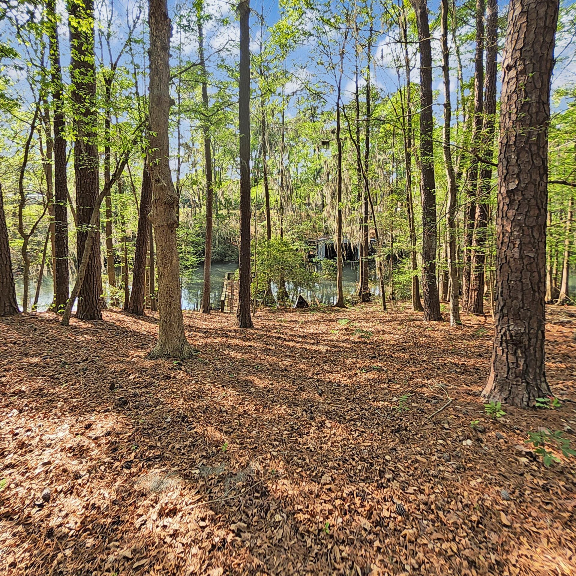 384 Suwanee Drive Photo 35
