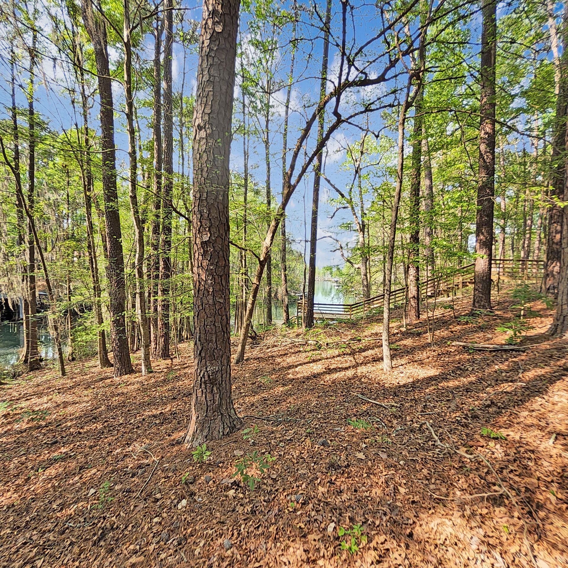 384 Suwanee Drive Photo 36