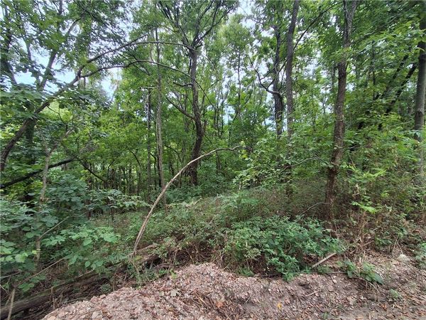 TBD County Road 517 , Berryville, AR 72616
