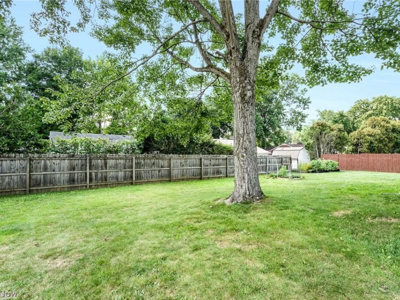 3940 Shelby Road, Youngstown, OH 44511 Photo 20