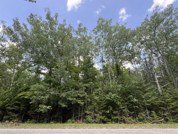 Lot 46 Renwick Circle, Presque Isle, MI 49777