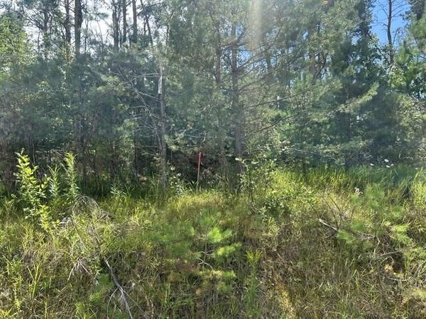 Parcel 5 W McCoy Road, Gaylord, MI 49735
