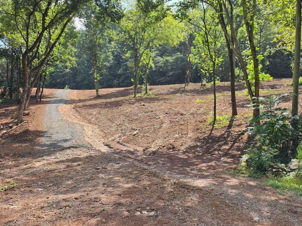 County Road 267, Niota, TN 37826