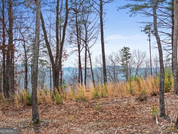 LOT 162 Ridge Drive, Morganton, GA 30560