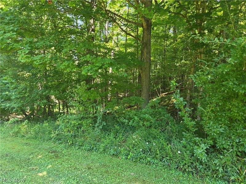 18985 State Route 58, Wellington, OH 44090 Photo 20