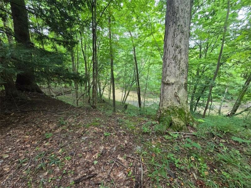 18985 State Route 58, Wellington, OH 44090 Photo 30