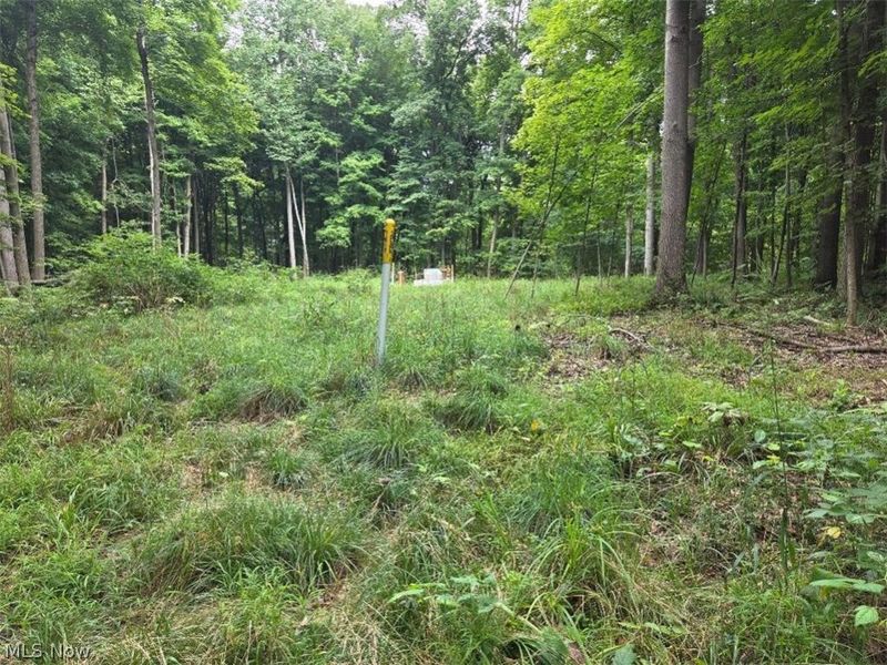18985 State Route 58, Wellington, OH 44090 Photo 35
