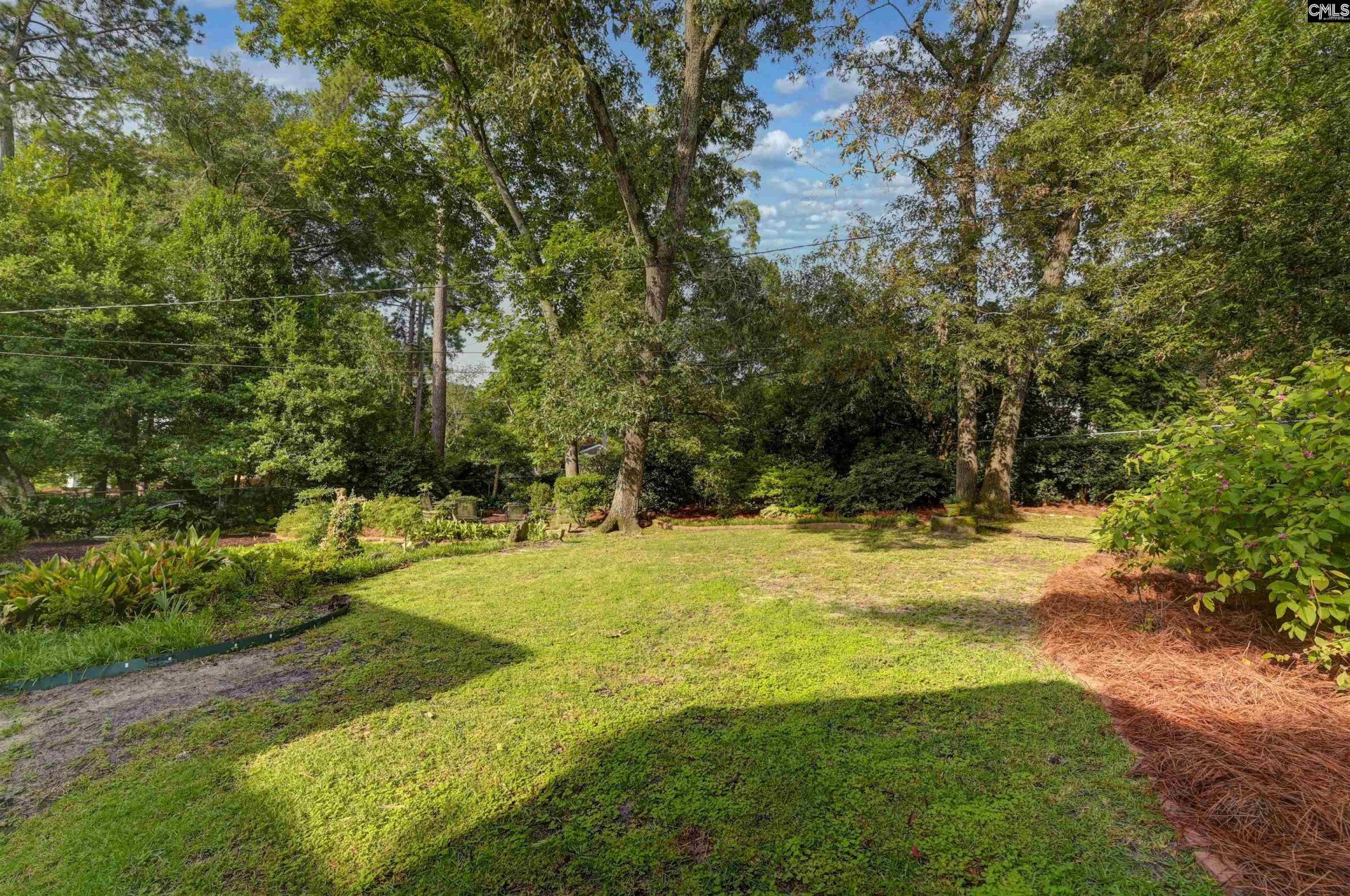 801 Arbutus Drive  Photo 7