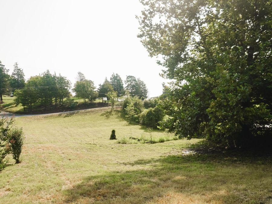 Property Image 61