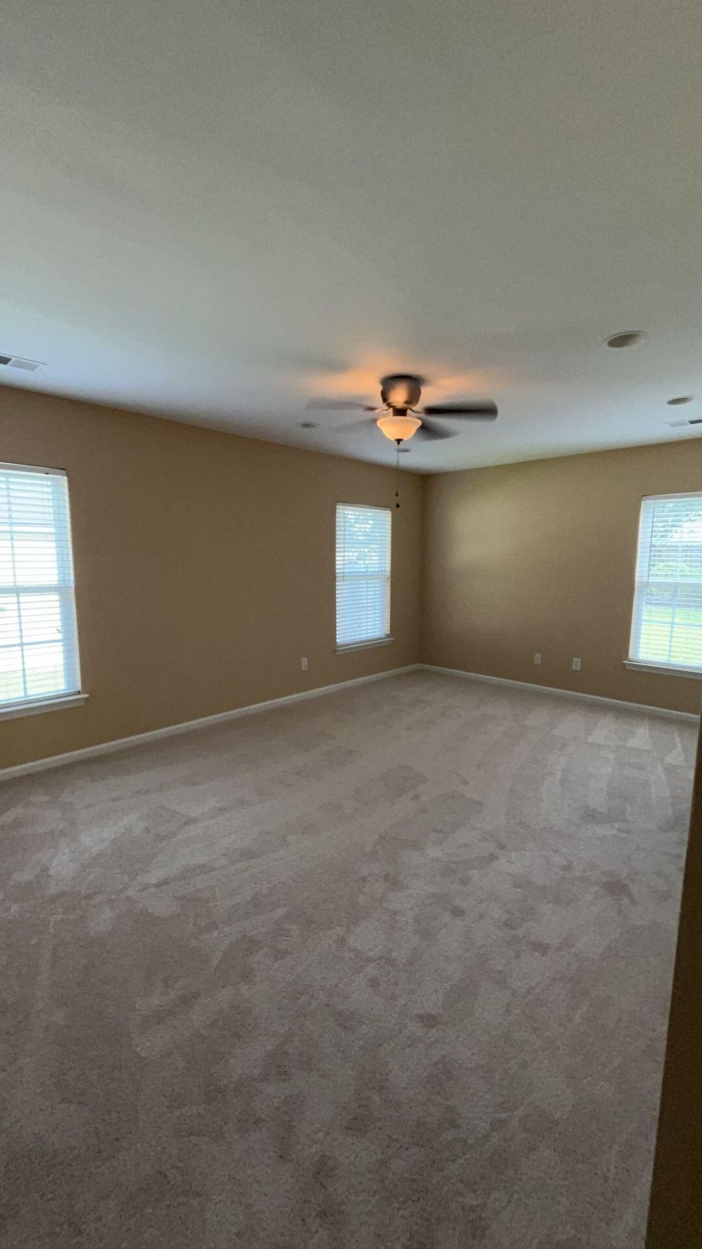 135 Wildberry Lane Photo 11