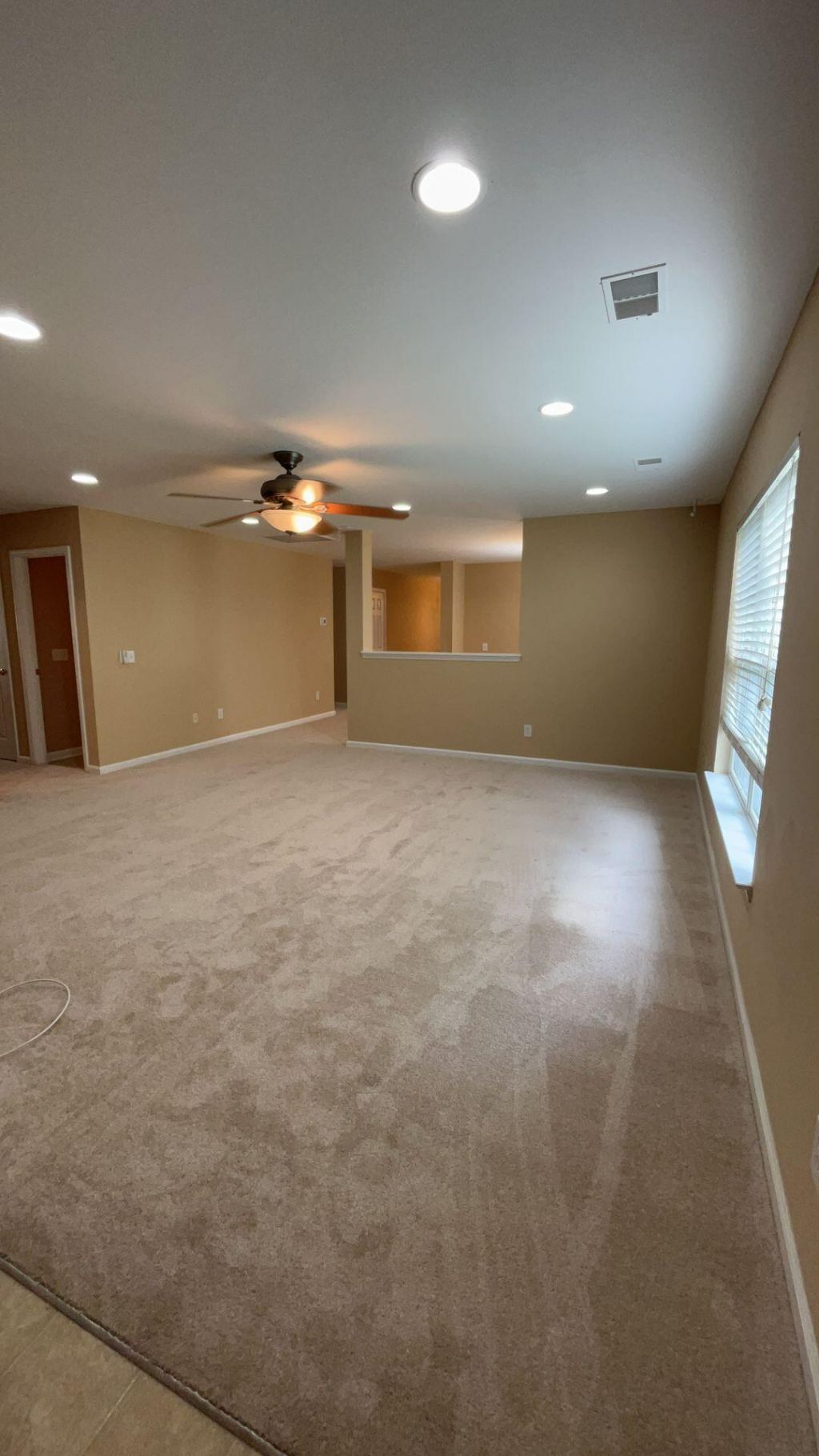 135 Wildberry Lane Photo 4
