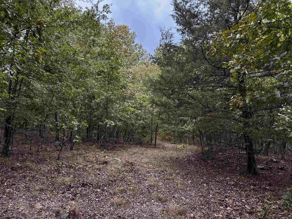 000 S 5 Highway , Mountain View, AR 72560