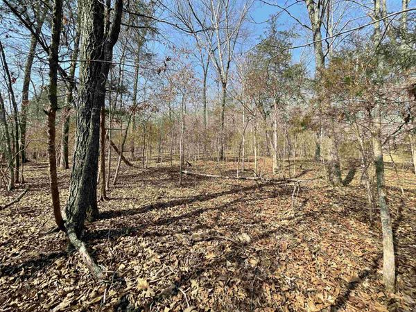 0000 Peace Mountain Road , Mountain View, AR 72560