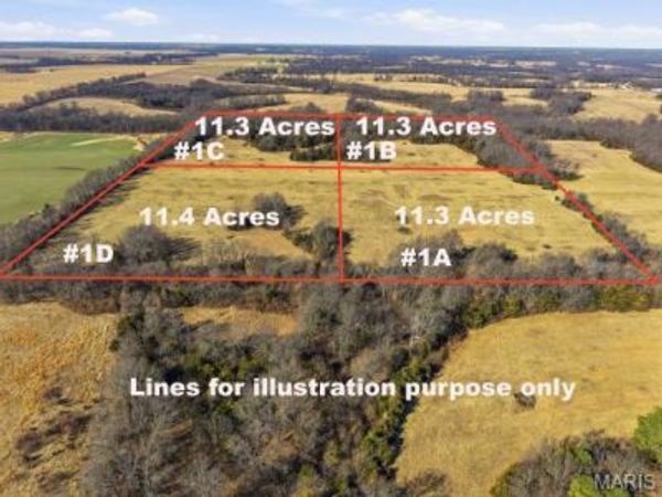 63 ACRES AR 935 & Highway FF, Mexico, MO 65265