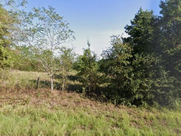 0 County Road 152 , Carthage, TX 75633