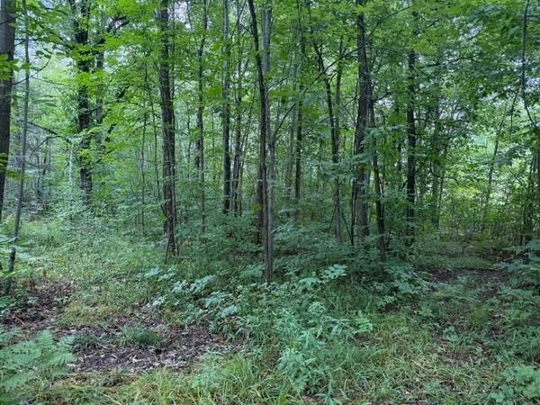 19348 170th Street, McGrath, MN 56350
