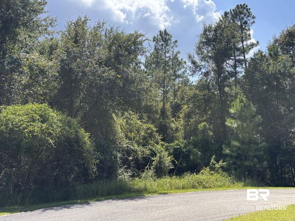 Lot 23 Trinity Wood Drive, Loxley, AL 36551