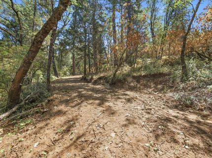 Sly Park Rd, Placerville, CA 95667 Photo