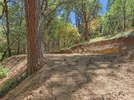 Sly Park Rd, Placerville, CA 95667 Photo
