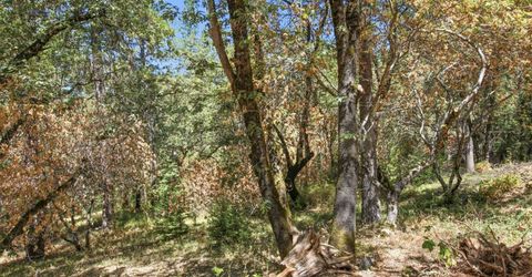 Sly Park Rd, Placerville, CA 95667 Photo