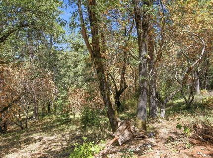 Sly Park Rd, Placerville, CA 95667 Photo