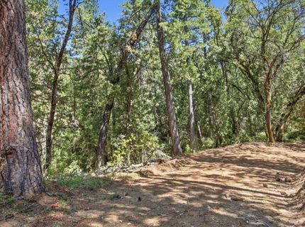 Sly Park Rd, Placerville, CA 95667 Photo