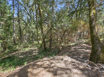 Sly Park Rd, Placerville, CA 95667 Photo