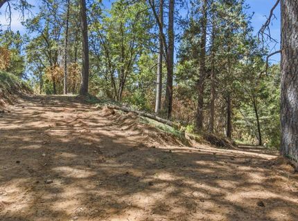 Sly Park Rd, Placerville, CA 95667 Photo