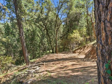 Sly Park Rd, Placerville, CA 95667 Photo