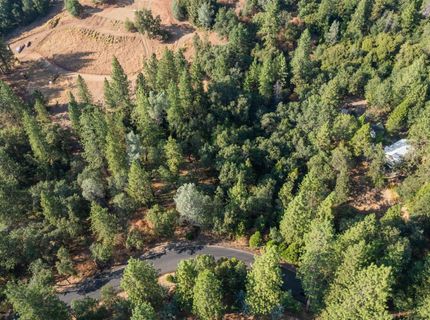 Sly Park Rd, Placerville, CA 95667 Photo
