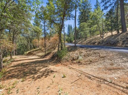 Sly Park Rd, Placerville, CA 95667 Photo