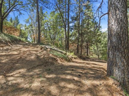 Sly Park Rd, Placerville, CA 95667 Photo