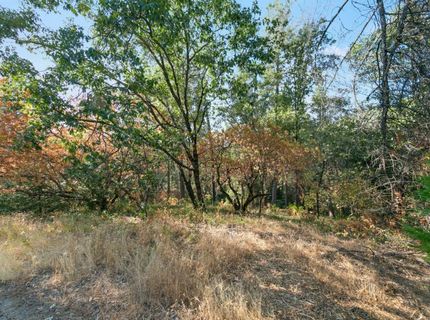 Sly Park Rd, Placerville, CA 95667 Photo