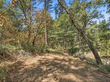 Sly Park Rd, Placerville, CA 95667 Photo