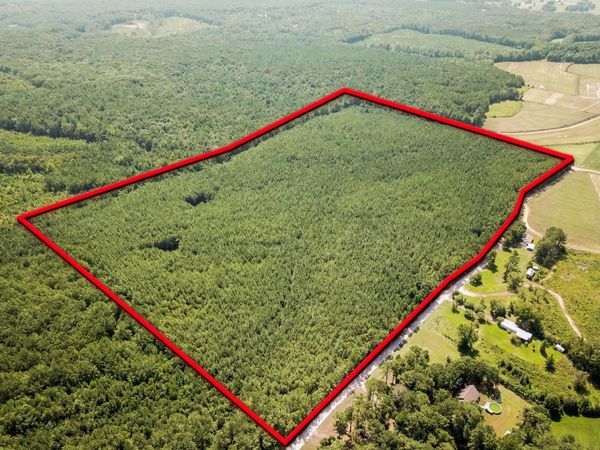 County Road 5251, Booneville, MS 38829
