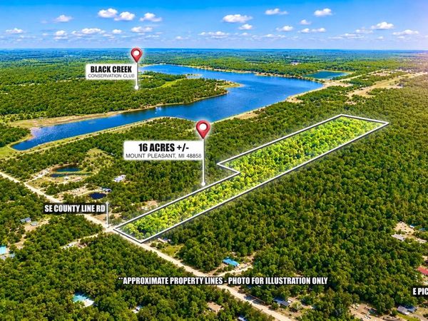 00000 SE County Line Road, Mount Pleasant, MI 48858