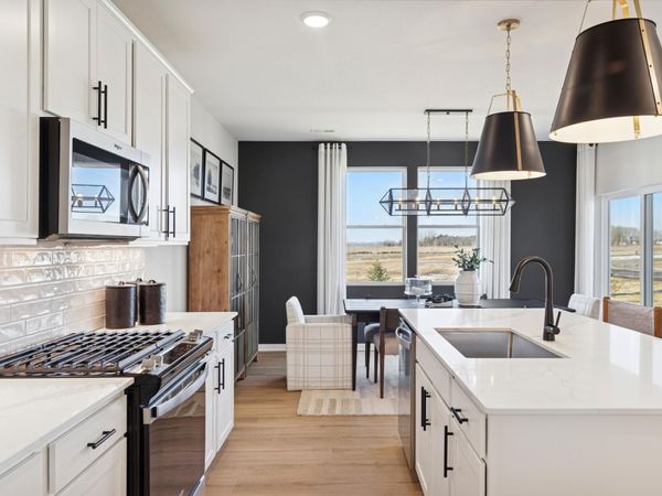 15173 Amber Fields Boulevard , Rosemount, MN 55068
