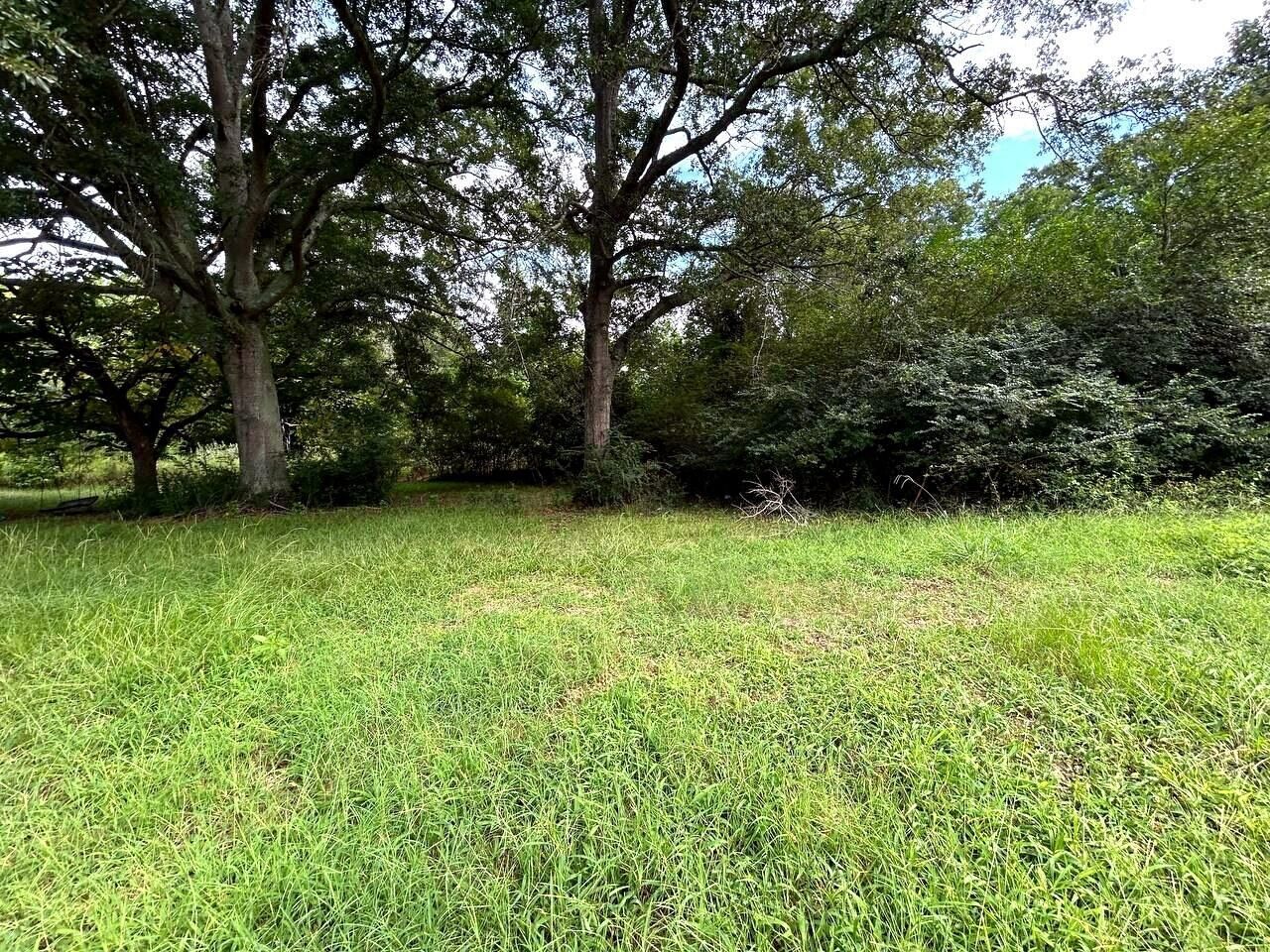 486 Scott Road Photo 7