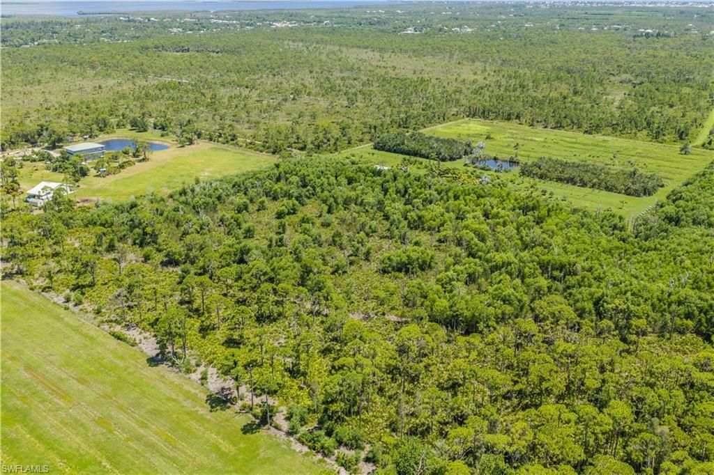 Access Undetermined, Other, FL 33956 Photo