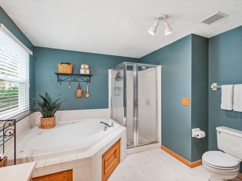 325 Paynes Depot Court, Powell, OH 43065 Photo 30