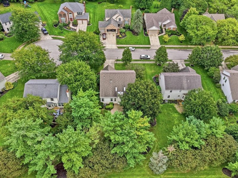 325 Paynes Depot Court, Powell, OH 43065 Photo 58