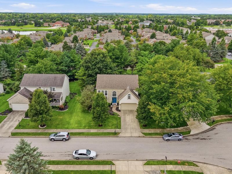 325 Paynes Depot Court, Powell, OH 43065 Photo 61