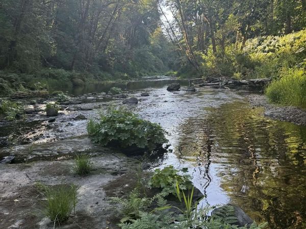 14382 Lobster Valley Rd, Alsea, OR 97324