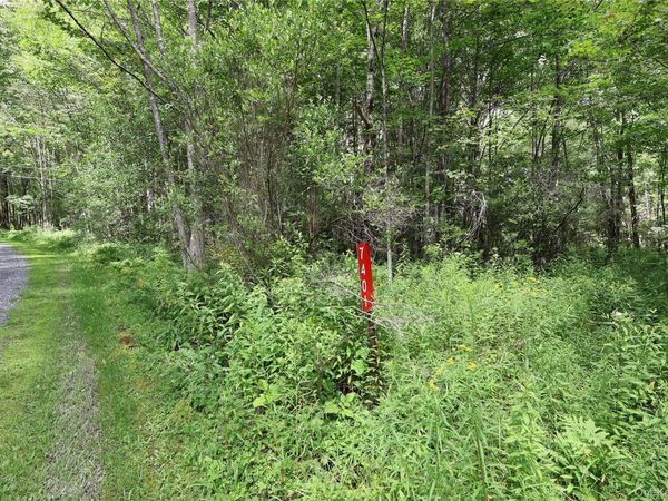 7401 Millbrook Road, Arkville, NY 12406